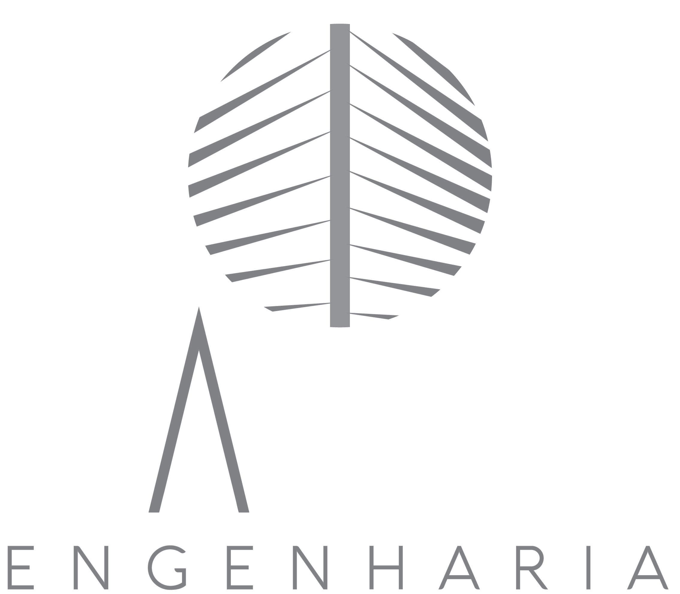 Caule Engenharia
